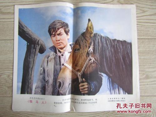 威尔明顿代办证件